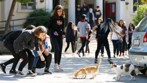 O lisede ilk ders 'hayvan sevgisi'!