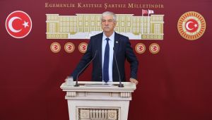 Vekil Beko ÇED kararlarına tepki gösterdi: "Bu resmen hukuksuzluktur"