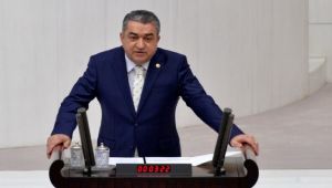 Vekil Serter, balıkçının sorunlarını Meclis'e taşıdı: "Kendi zenginliğimizi görmüyoruz"