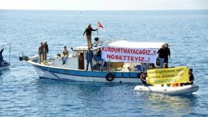 Yarımada, orkinoslar için ayağa kalktı!