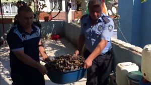 Buca'da midye operasyonu... Bakteri yuvasını bastılar!