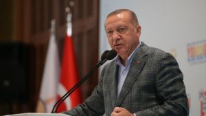 Erdoğan öldürülen terörist sayısını açıkladı!