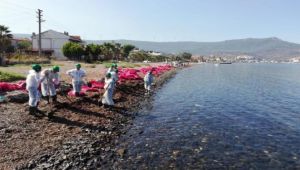 Foça'daki çevre felaketinin cezası belli oldu