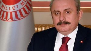 'Harekat Suriyelilerin geri dönüşünü destekleyecektir'