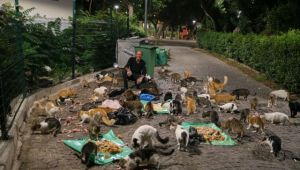 İzmirli Mogol, 13 yıldır 300 sokak hayvanıyla ilgileniyor: "Bu iş paralı olsaydı ben de yapmazdım, zaten bu bir gönül işi, sevgi işi"