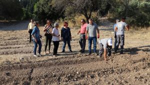 Karaburun'da 'yerli tarım' dönemi