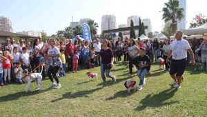 Narlıdere'de 'Can'lar için festival