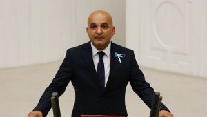 Vekil Polat hastalıklı hayvan skandalını Meclis'e taşıdı: "Halkın sağlığını tehlikeye atanlar hesap vermelidir"