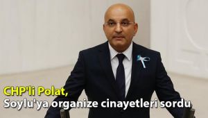 CHP'li Polat, Soylu'ya organize cinayetleri sordu