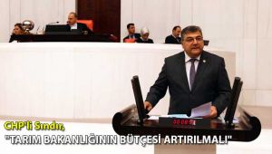 CHP'li Sındır, "Tarım Bakanlığı'nın bütçesi artırılmalı"