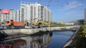 Peynircioğlu Deresi’nde büyük temizlik