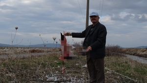 Vekil Sertel'den 'Kuş Cenneti'nde elektrik hattı' tepkisi