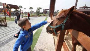 Cordelion Taypark yenilenen yüzüyle kapılarını açıyor