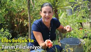 Efes Selçuk’ta Tarım Filizleniyor