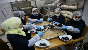 İzmir’de Türk ve Suriyeli kadınların yeni geçim kapısı ''Midye''
