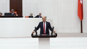 CHP'li Polat “Zeytinlerimize yazık olmasın''