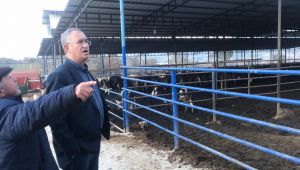 CHP’li Sertel: TİGEM devletin mi AKP’nin mi çiftliği?