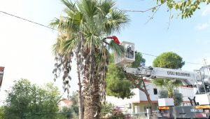 Çiğli Belediyesi’nden Çevre ve Halk Dostu Proje