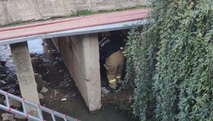 İzmir'de dereye düşen yaşlı adamı itfaiye kurtardı