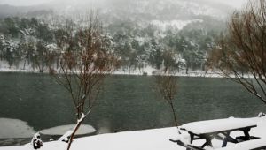 Karagöl Tabiat Parkı beyaza büründü