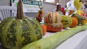 Çeşme’de ‘Yerel Tohum Takas Şenliği’ gerçekleştirildi