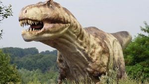  Dinozorlarda "kansere" yakalanmış!