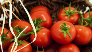 Domates ihracatta rekor kırdı