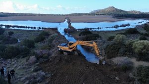 İris Gölü yeniden kuşların oldu