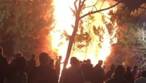 İzmir'de akılalmaz olay! Metro çıkışındaki ağaçları ateşe verdiler!