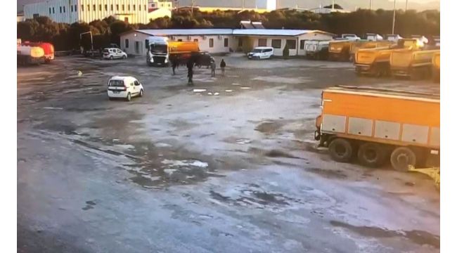 Kızgın şoför tırı mesai arkadaşlarının üzerine sürdü