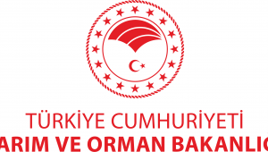 Bakanlık açıkladı: Gıdalardan koronavirüs bulaşır mı?