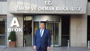 ÖZEL HABER - Başkan Yetişkin'den 'Ekmeksiz Plajı' müjdesi; "Görüşmelerimiz çok olumlu geçti"