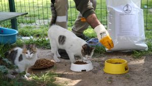 Can dostlar Karşıyaka Belediyesi’ne emanet