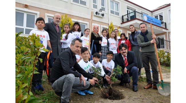 Çeşmeli öğrenciler Sakız Ağacı dikti