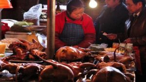 Çin'de hayat normale döndü... Yarasalar yeniden satışta!