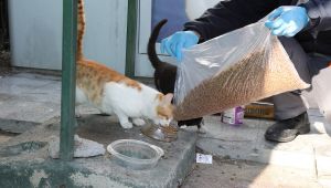 Gaziemir Belediyesi’nden can dostlar için örnek uygulama
