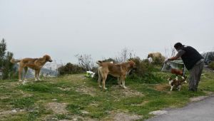 Narlıdere’de can dostlar unutulmadı!