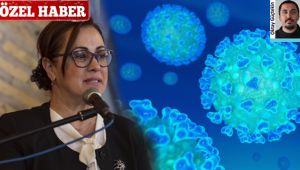 ÖZEL HABER - CHP'li Kökkılınç'dan corona açıklaması "Kadın sığınma evleri için gerekli koruyucu önlemler alındı"