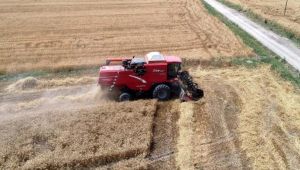 Tarımda salgın riski! 'Bunun sonucu kıtlıktır'