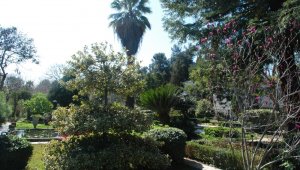 Türkiye'nin ilk Polen Alerji Bülteni İzmir'de