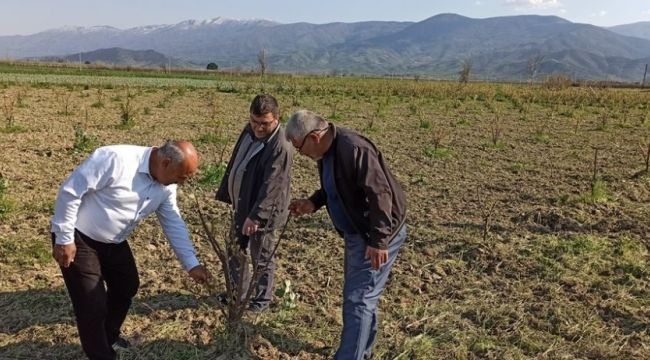 Üreticilerin gözü don ve soğuk tehlikesinde