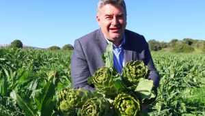 Başkan Oran tarlaya girdi ve çiftçilere seslendi; 'Tarım her şeyden önemlidir!'