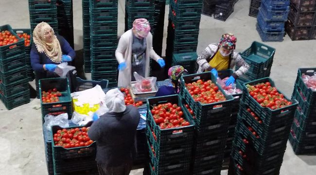 Başkan Soyer duyurdu! 2 büyük ilçeye daha "Seyyar Pazar" geliyor!