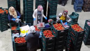 Başkan Soyer duyurdu! 2 büyük ilçeye daha "Seyyar Pazar" geliyor!