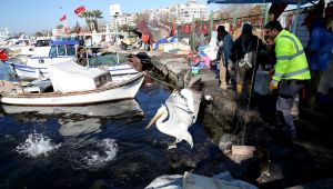 Başkan Tugay’dan veteriner hekimlere anlamlı ziyaret