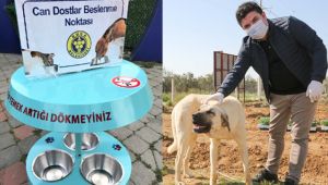 Buca Belediyesi can dostları unutmadı! Pandemi ayında 4 buçuk ton mama dağıtıldı