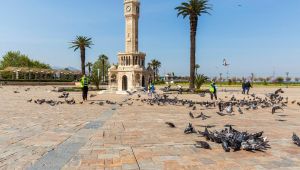 Büyükşehir’den sokakta yaşayan canlara “gönülden” destek