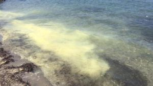 Çeşme'de korkutan görüntü!