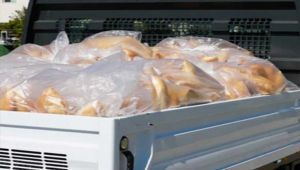 Flaş iddia! CHP'li belediyelerin ekmek dağıtması da yasaklandı!