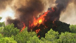 Flaş iddia! Yangın söndürme uçağı ihalesi yenilenmedi! Ormanlar Allah’a emanet…